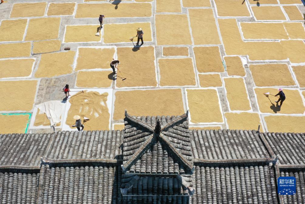 巨人娱乐线路检测